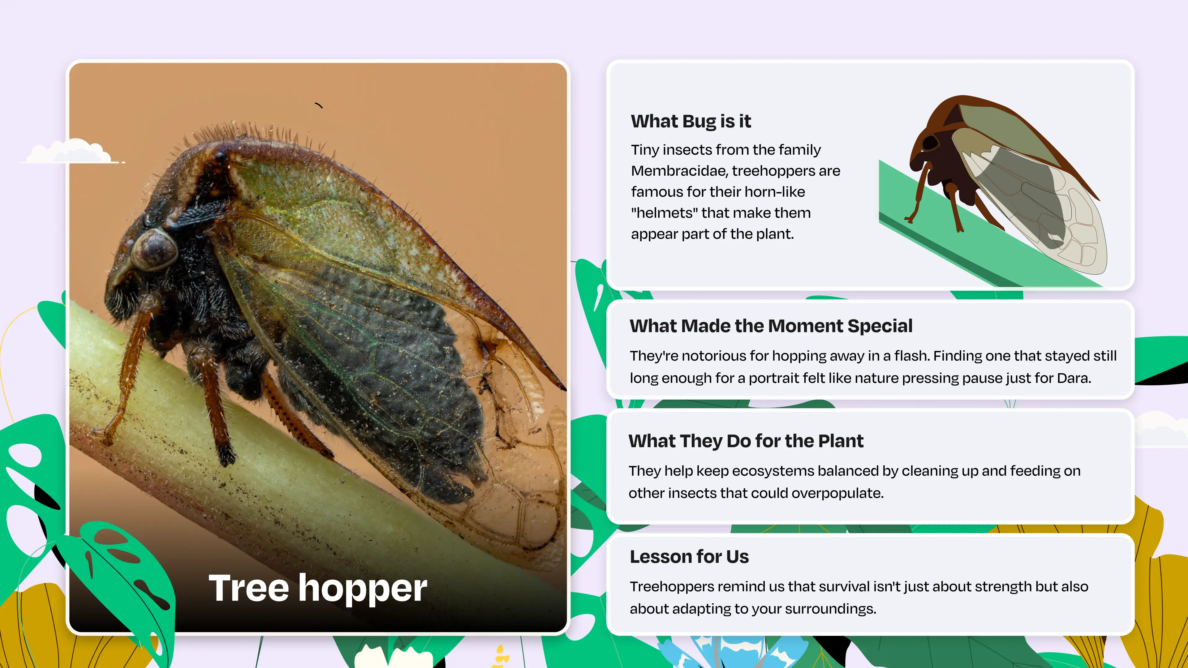 (https://d1c5a9xrl5sbk8.cloudfront.net/images/appid-27070Treehopper(1).png)